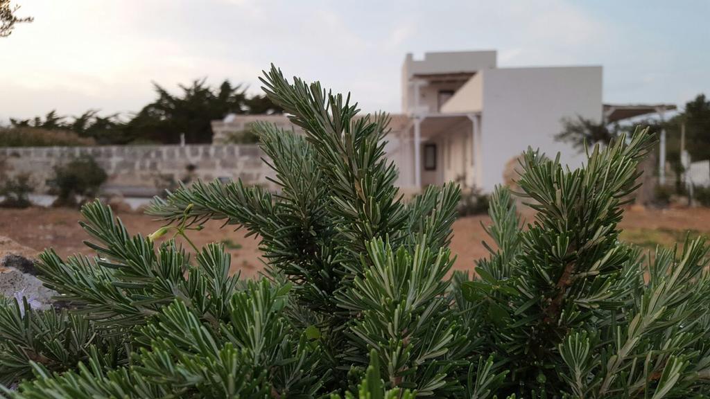 Casa Vacanze Senia Del Rais Favignana Exteriér fotografie